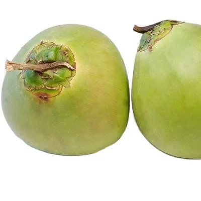 Fresh Young Coconuts 100% natural Organic High Quality Grade fresh young coconut From Vietnam 2023