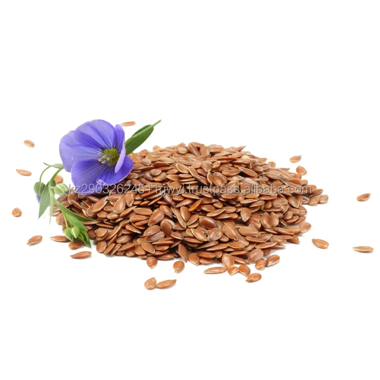 Hot Selling oil flax seeds best quality high-tech production exclusively natural origin affordable price