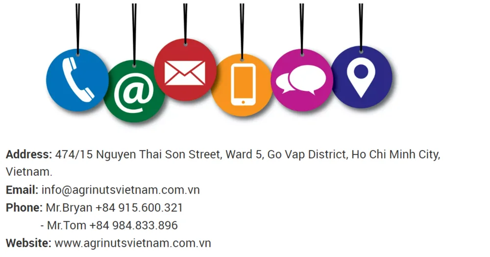 Origin Vietnam Cashew nuts White splits WS high quality best price vacuum bag From Manufacture 84 915600321