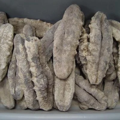 Dried-Sea-Cucumber.jpg