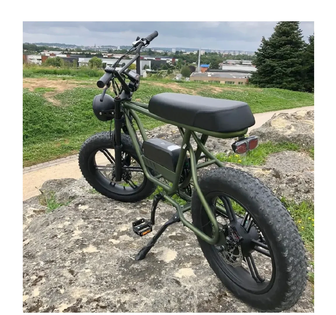 Brand New Elec-tric Bicycle Factory 48v 750w 1000w Fat Tire M0untain Dirt moped E Bike For Sale