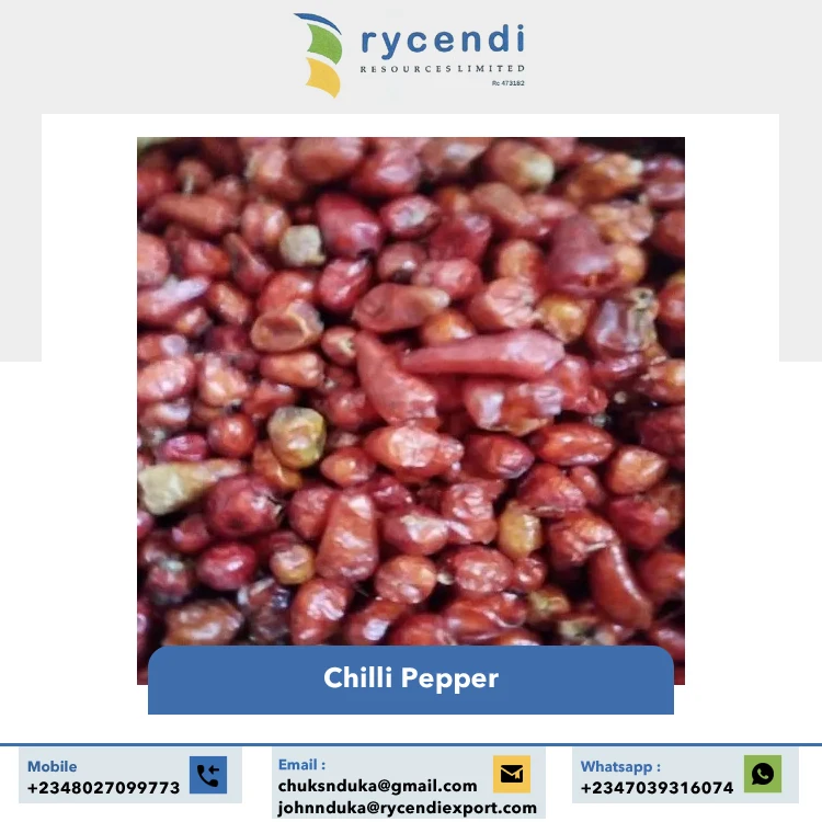 Best Quality Single Spices & Herbs Wholesale Dried Red Hot Spice Round Stemless Red Chilli Pepper from Nigeria