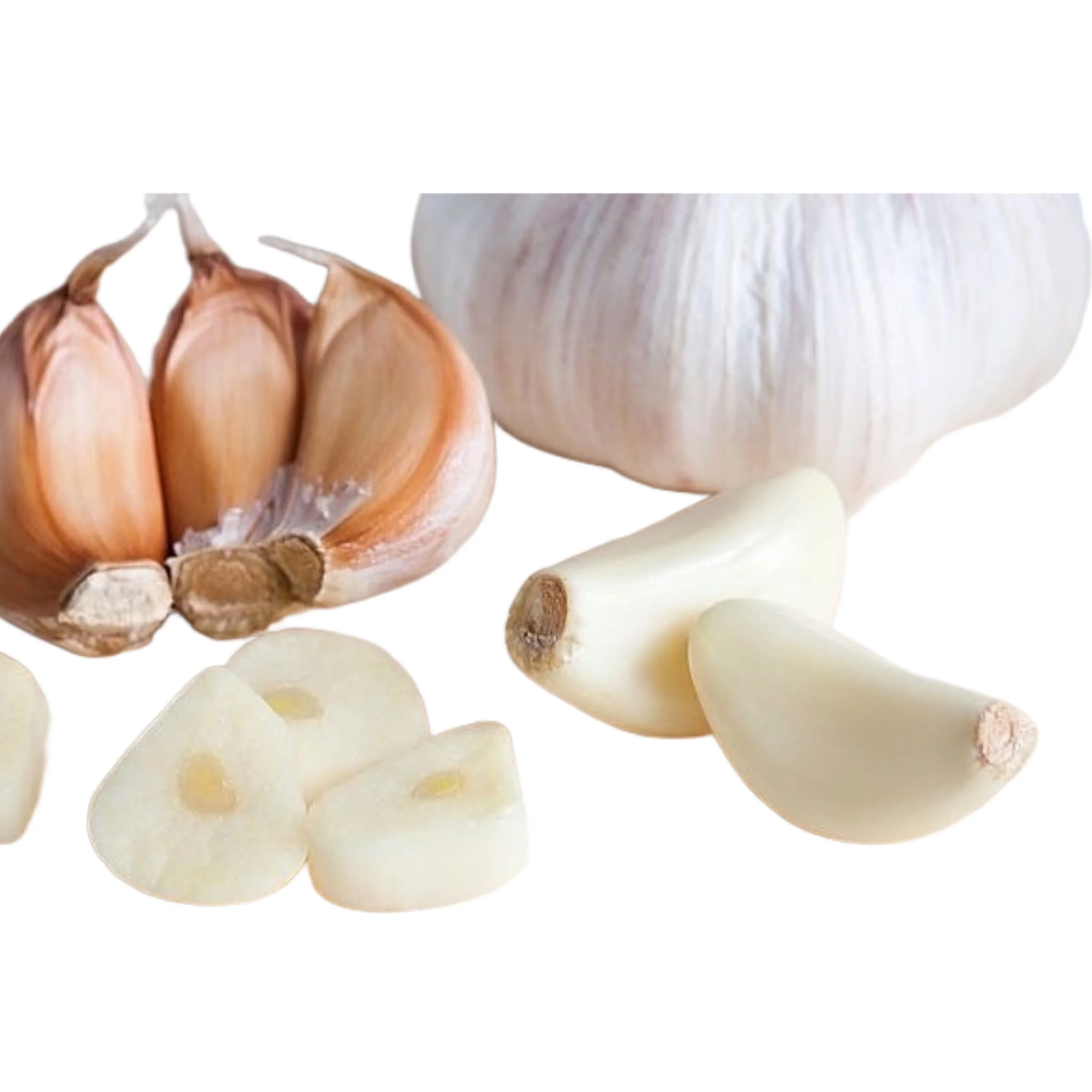 Vietnam Ly Son Fresh Natural Garlic Price For Import/ Export- New crop, Hot sales