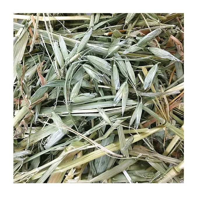 Orchard Grass Hay for Animal Feeding Stuff Alfalfa / Oat Hay/Lucerne bales