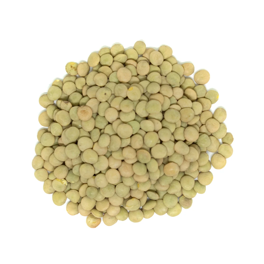 Wholesale Supplier Of Bulk Fresh Stock of Whole Green Lentils Dry Organic Green Lentils