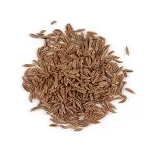 High quality Egyptian Caraway seeds Herbs spices Grade A FOR EXPORT