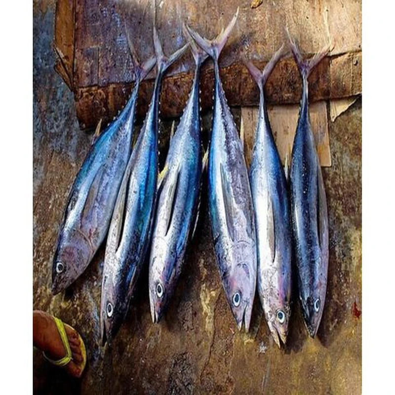 Hot Selling in 2021 for Frozen Tuna Steak The Yellowfin Tuna Steak CO Shipping from SA Bulk Packaging Shelf Origin Life ISO