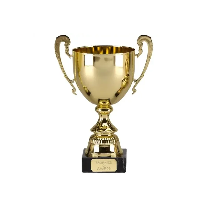 High Quality Latest Design Vintage Style Glossy Polish Brass Trophy Cups Shield Trophy for Home Decoration Trophy Awards