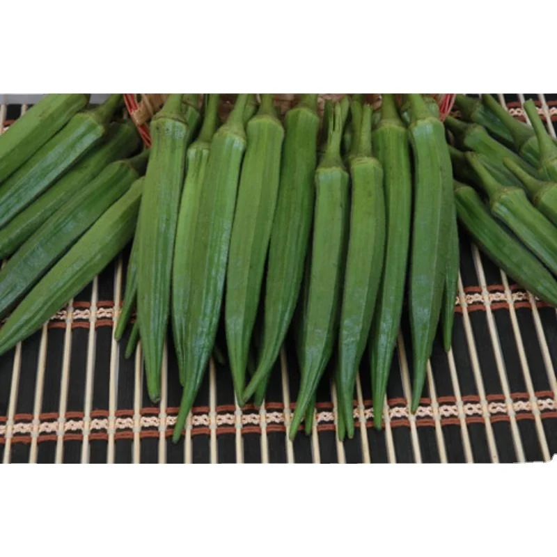 Поставщик темно-зеленого качественного Окра для экспортного материала