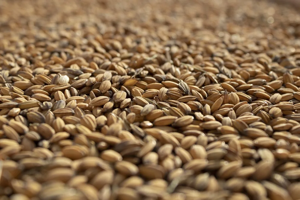 Высшее итальянское качество, вакуумная упаковка, 1 кг риса карнароли, дидонато для экспорта