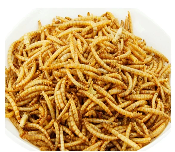 Дешевое желтое натуральное питание Mealworm микроволновый сушеный корм для домашних животных