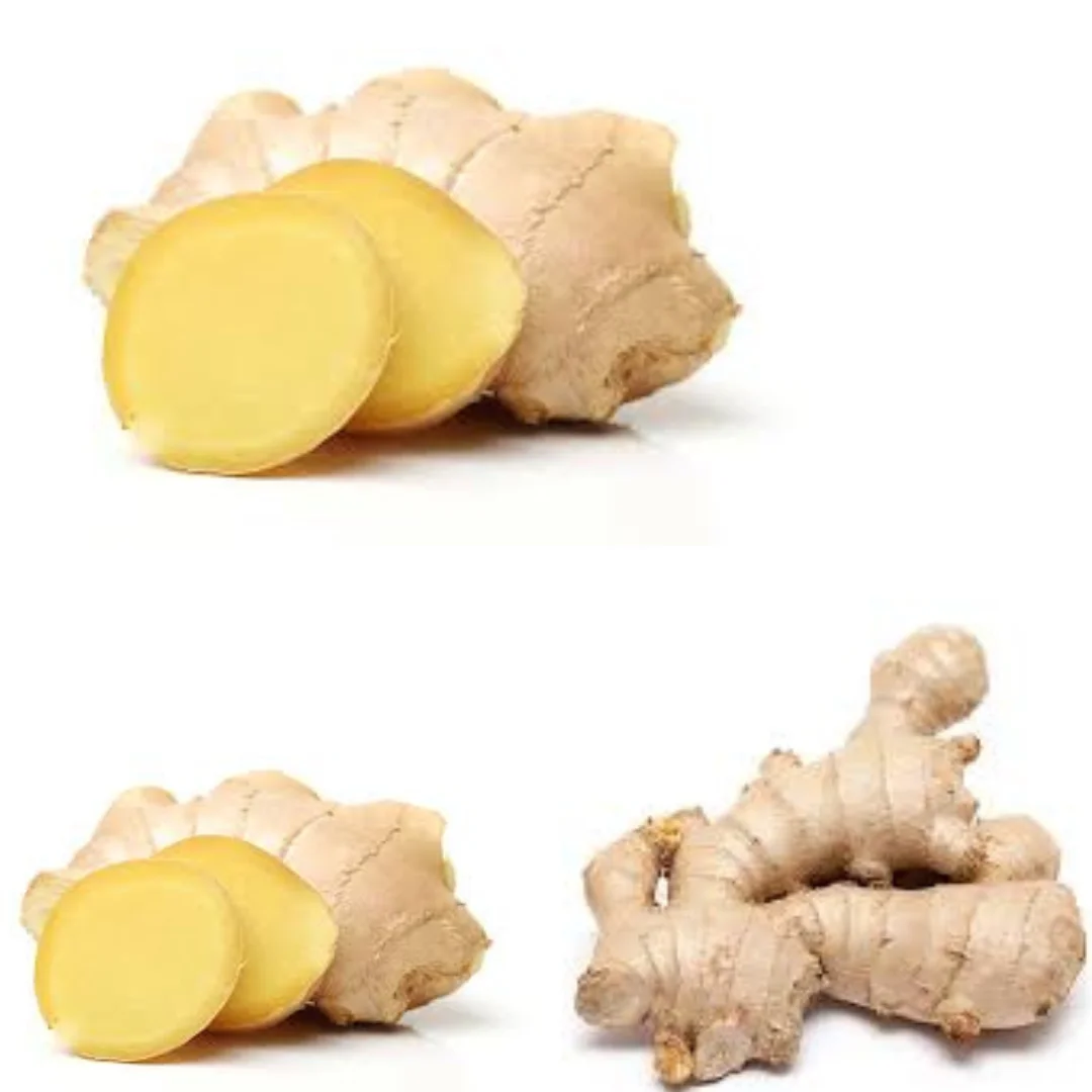 Good Quality Ginger Keep Dry Or Refrigerated Old Organic Packed In Box Fresh Vegetables, Hot Ginger Dried Ginger