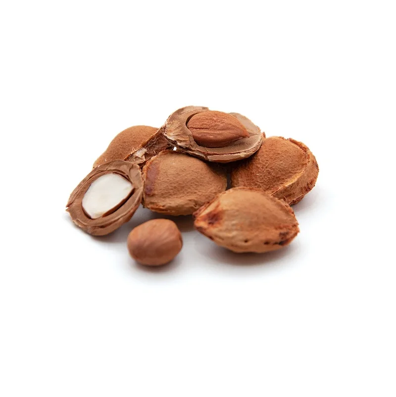 Высококачественные чисто-сырые органические абрикосовые орехи для продажи по самой низкой оптовой цене