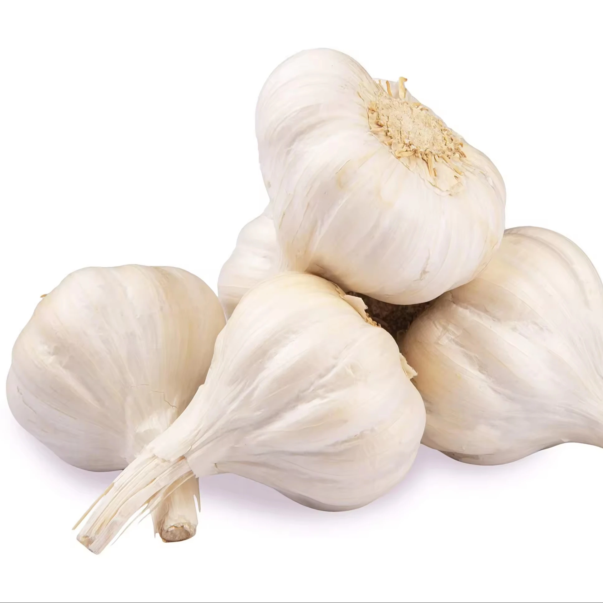 Fresh normal white garlic fresh vegetables and pure white garlic for export +27739729209