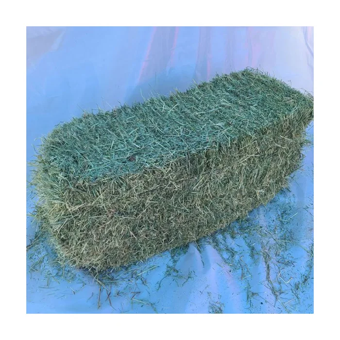 High Quality Alfalfa Hay for Sale Animal Feed for Cattle Sheep and Horses Packaged in Bales or Bags