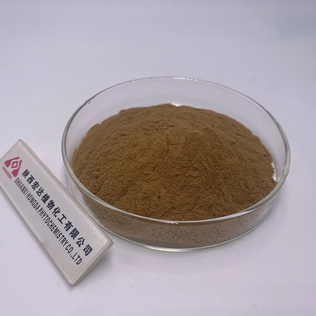 Factory Rosehip Fruit Extract Powder Rose Hip Powder Rosehip Powder