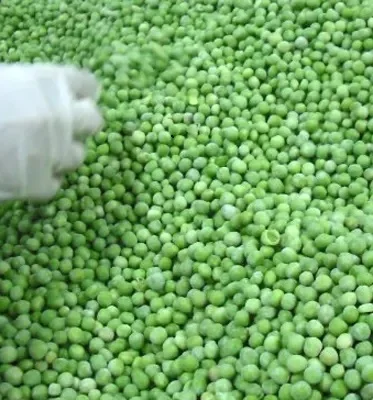 Supplier Export Factory Price IQF Vegetables IQF Frozen Green Chick eas Green Dry Peas IQF Whole Green Peas