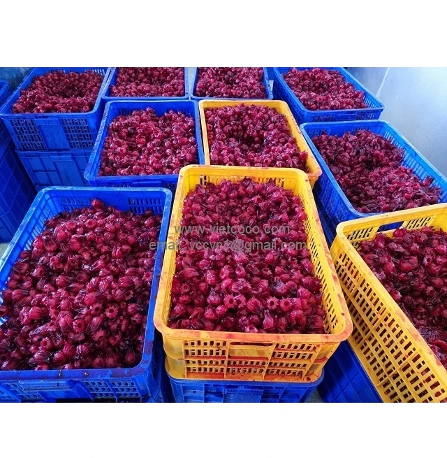 Vietnam 100% Dry Red Roselle Hibiscus Tea Organic Dried Hibiscus Flower Tea Herbal Roselle Dried Hibiscus Flowers