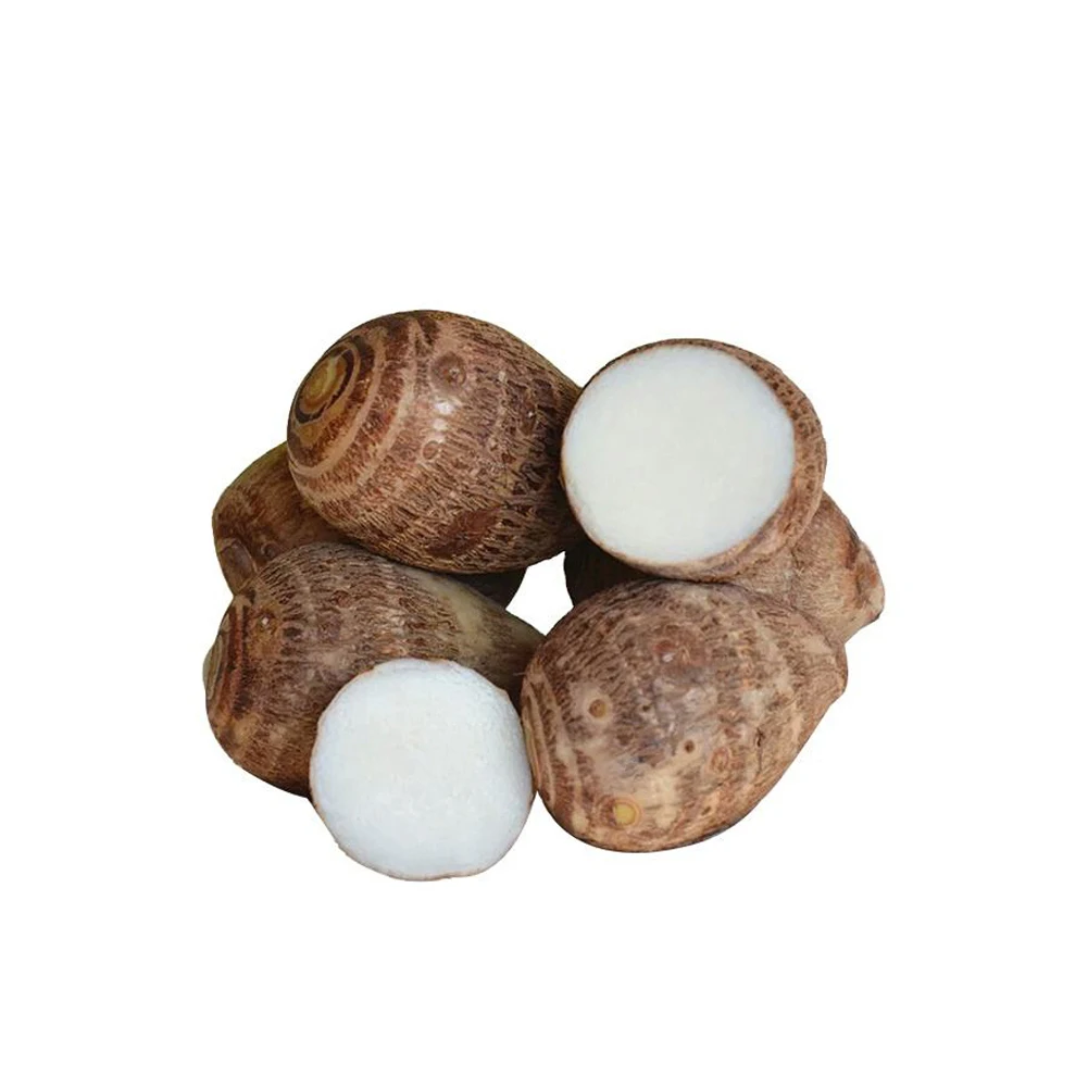 New Crop fresh taro wholesale