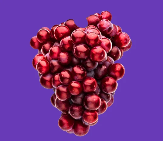fresh grapes