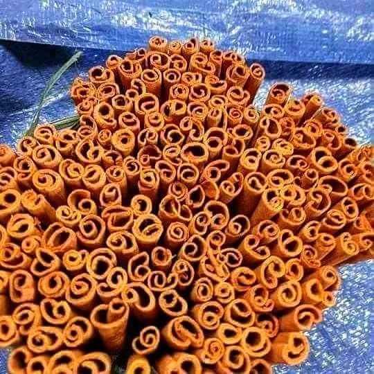 WHOLESALE CASSIA VIETNAM PREMIUM GRADE, DRIED WHOLE CASSIA, CINNAMON W/A: 0084909740687