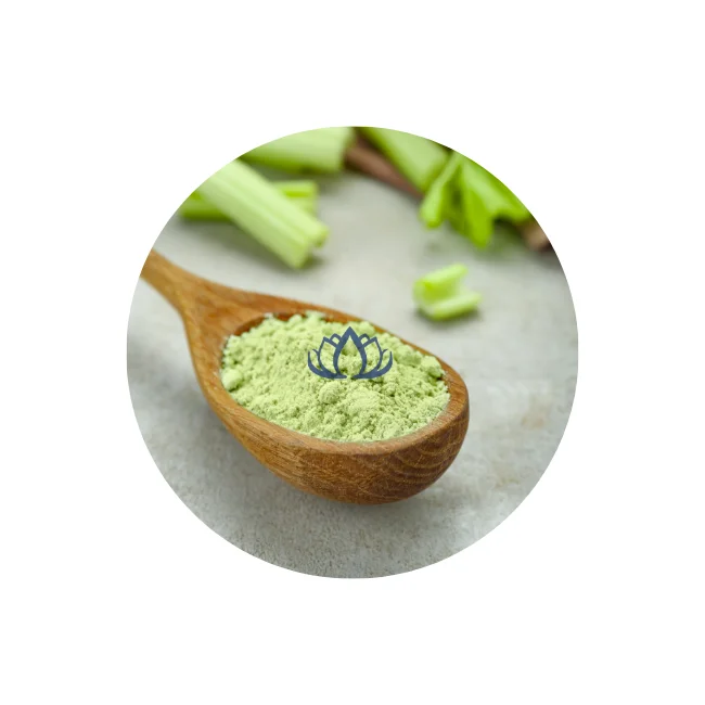 FREEZE DRIED CELERY JUICE POWDER EXTRACT FROM BLUE LOTUS in VIETNAM
