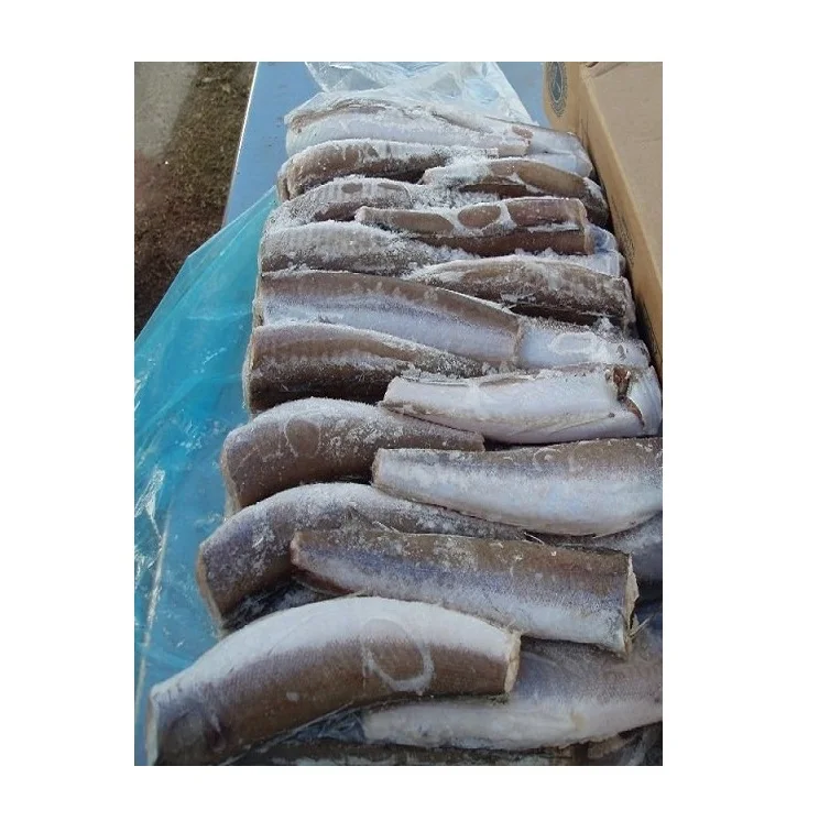 Good Quality Frozen Whole Round Hake Fish Available in Bulk Fresh Stock At Wholesale Price With Fast Delivery