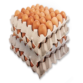 Свежие куриные яйца для фермы коричневые и белые из ракушек/продукт разных размеров свежие настольные