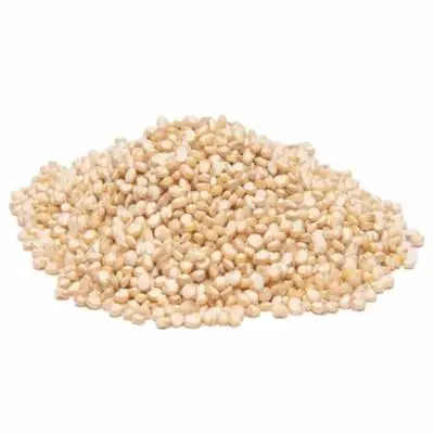 Wholesale Supplier of Organic Seeds White Quinoa Grains Health care Grains Bulk Stock With Fast Shipping
