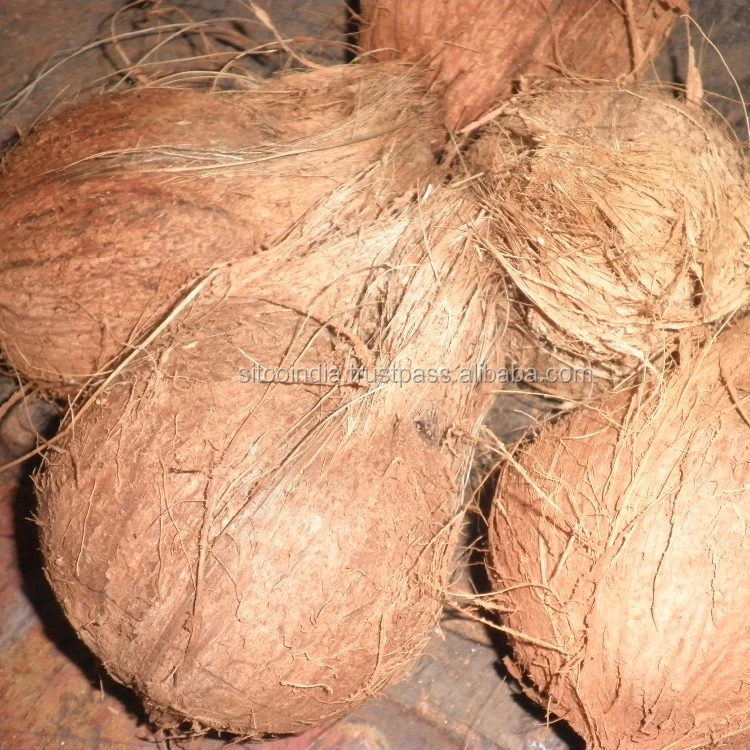 Fresh Semi Husked Coconut From India