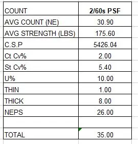 2/60s-SHT RT 100% Polyester Sewing Thread