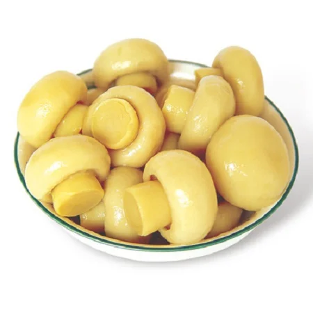 Hot sale Canned mushroom