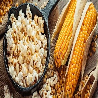 Pop Corn Maize/Popcorn Maize kernel Popcorn Butterfly and Mushroom Types