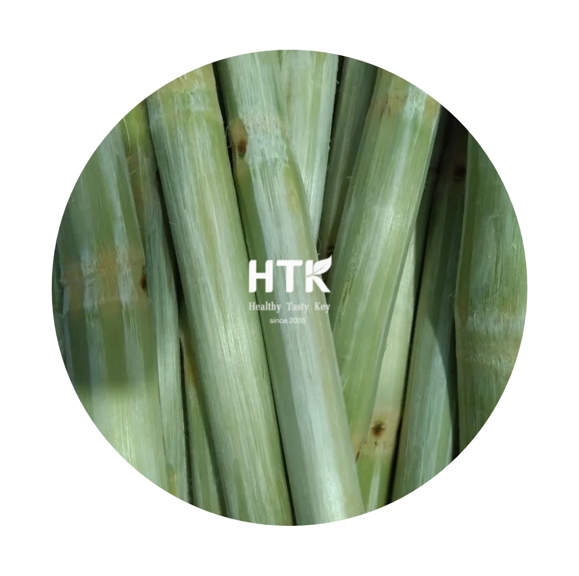 2022 FROZEN IQF SUGARCANE SUGAR CANE Made In Vietnam Factory from HTK FOOD for Food & Beverage