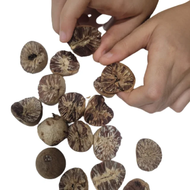 Best Quality Areca Nuts Wholesale Dried Betel Nuts From Indonesia Betel Nuts Packaging Burlap Sack Best Prices For Export