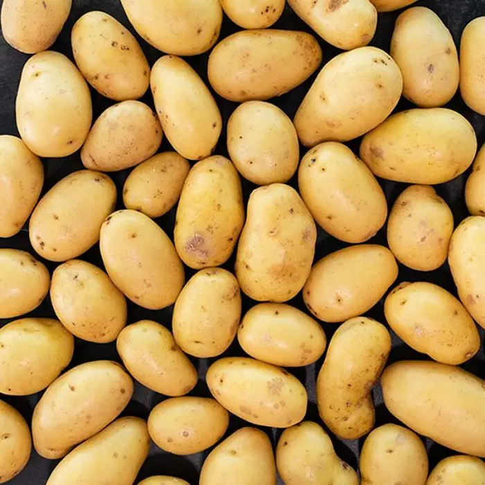 Potato Fresh Potatoes 100% High Quality New Crop Per Ton Low Price For Wholesale Fresh Potatoes From Bangladesh