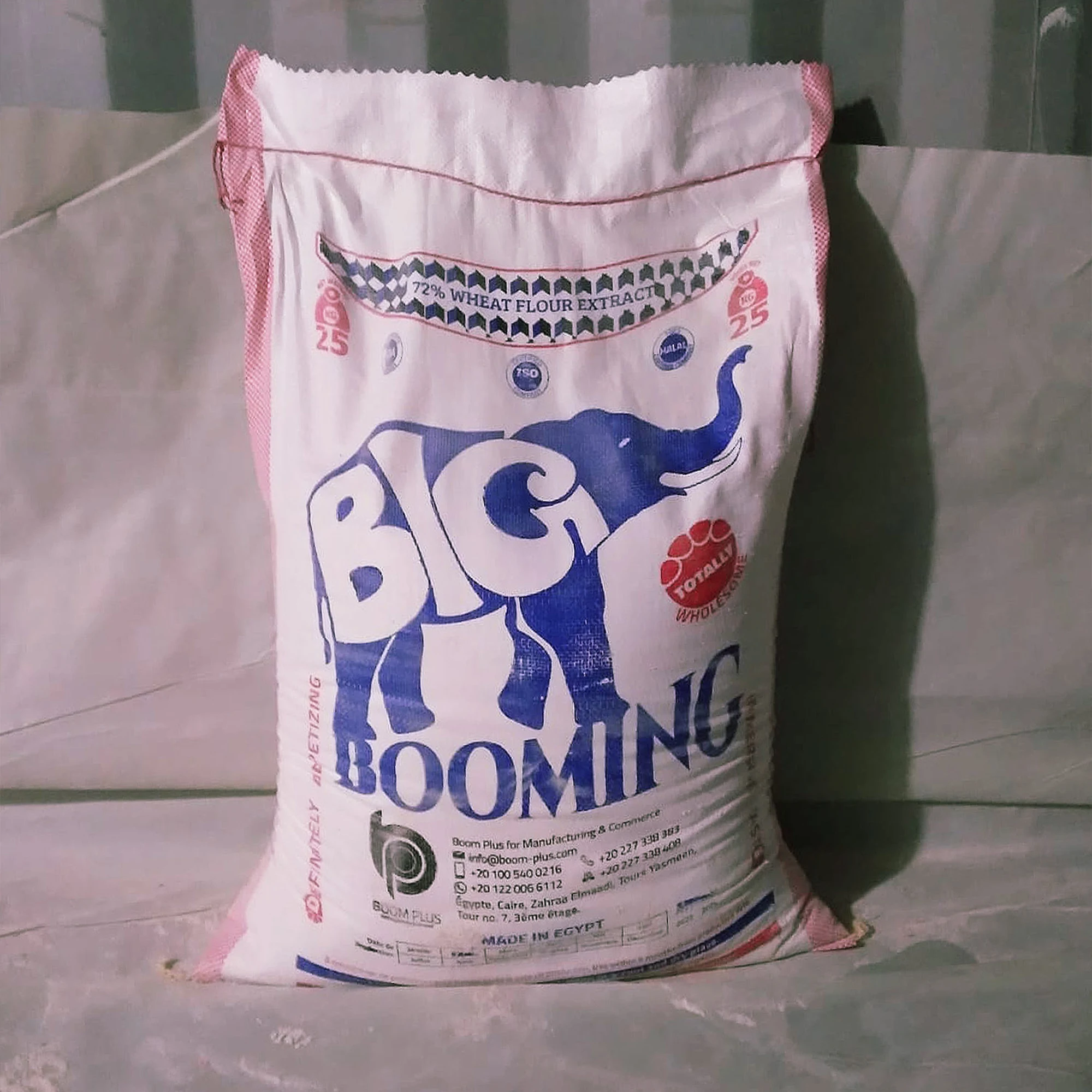 Big Booming 25 kg Bread Wheat Flour High Gluten Premium Quality Dried Dry Made Oat Milling Process Bakery Use Directly Egypt