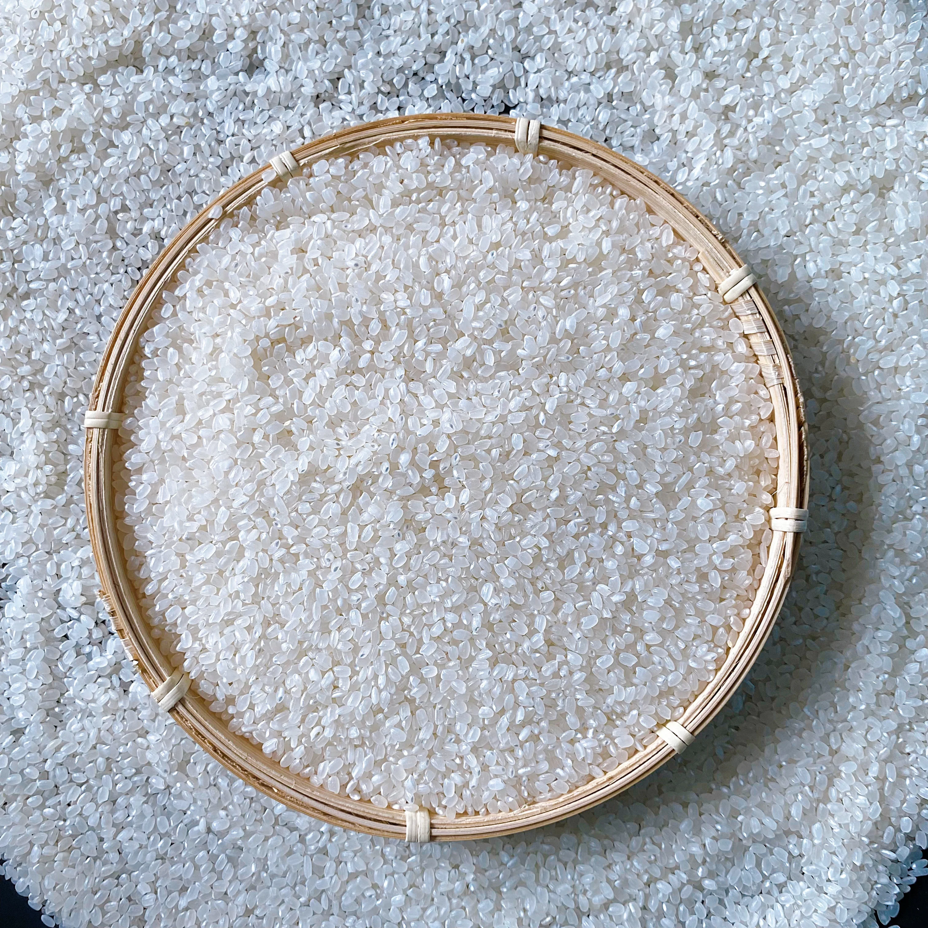 SUSHI RICE - HIGH QUALITY in VIETNAMESE RICE JAPONICA ROUND RICE IRRI for ALL MARKETS