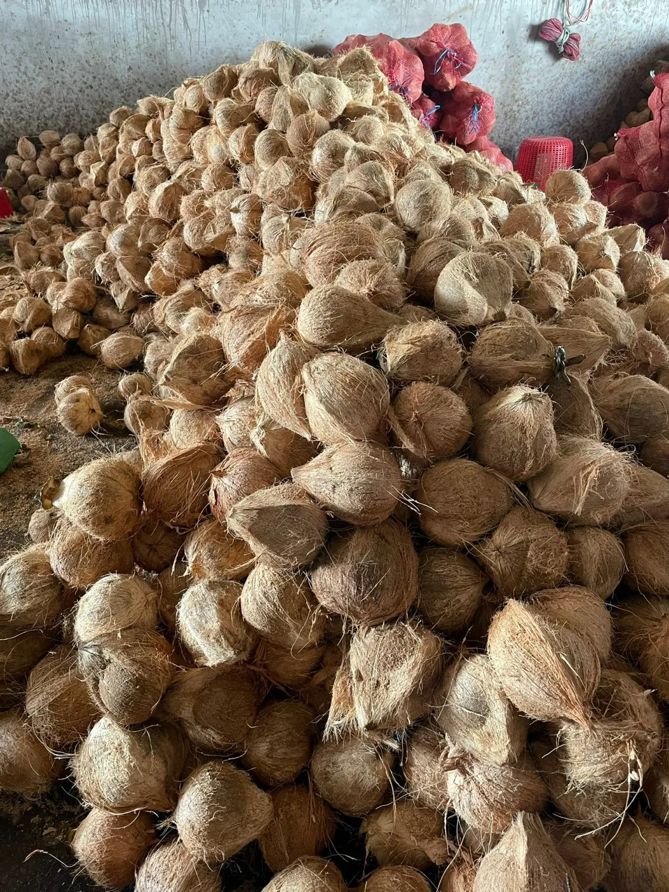 Wholesale mature semi husked dry coconut in bag Fresh newly harvested made in Viet Nam 25 pcs/30kg Phytosanitary Certification