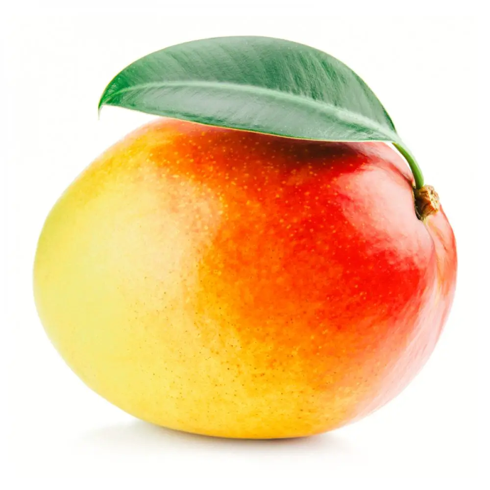 High Quality Fresh Alphonso Mango Yellow Mango Variety Frozen Fruit