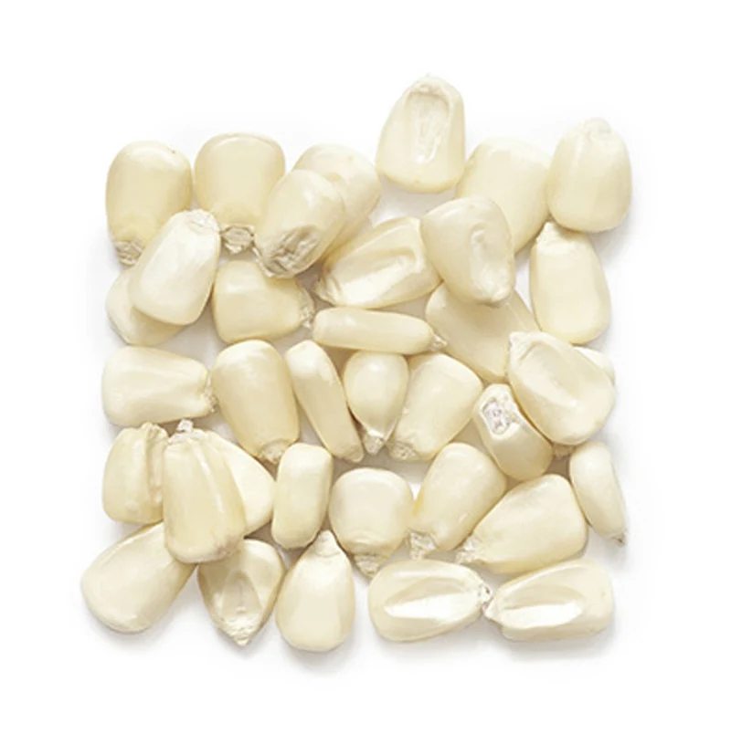 Органическая Премиум Горячая Скидка белая кукуруза без ГМО для продажи