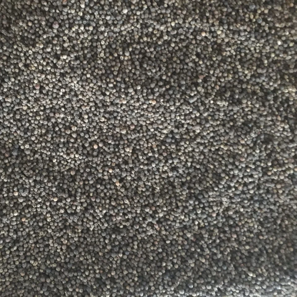 Dried Natural Black Pepper Vietnam Price Good Premium Quality Black Pepper Using for Seasoning Spices
