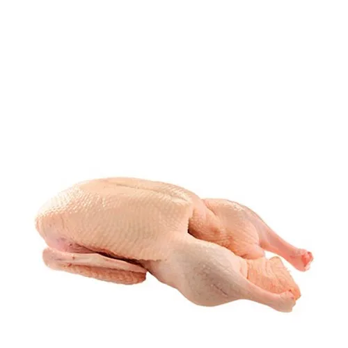 Wholesale Halal Frozen Whole Duck Suppliers
