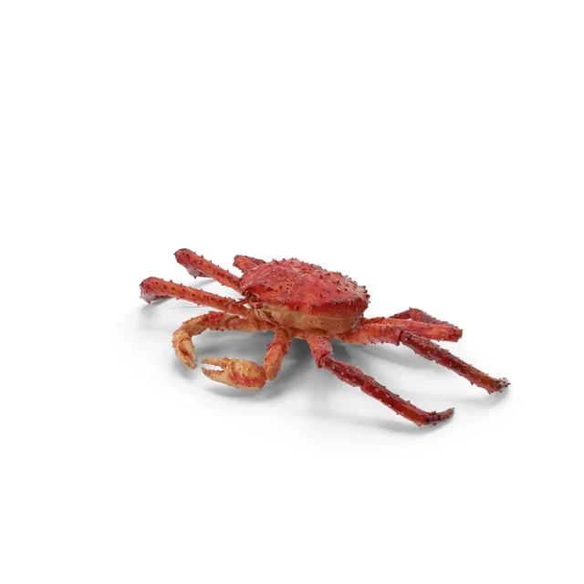 Fresh and Frozen Whole Red King Crab with Roe Various Styles Available-King Crab Meat Cutting Styles Wholesale