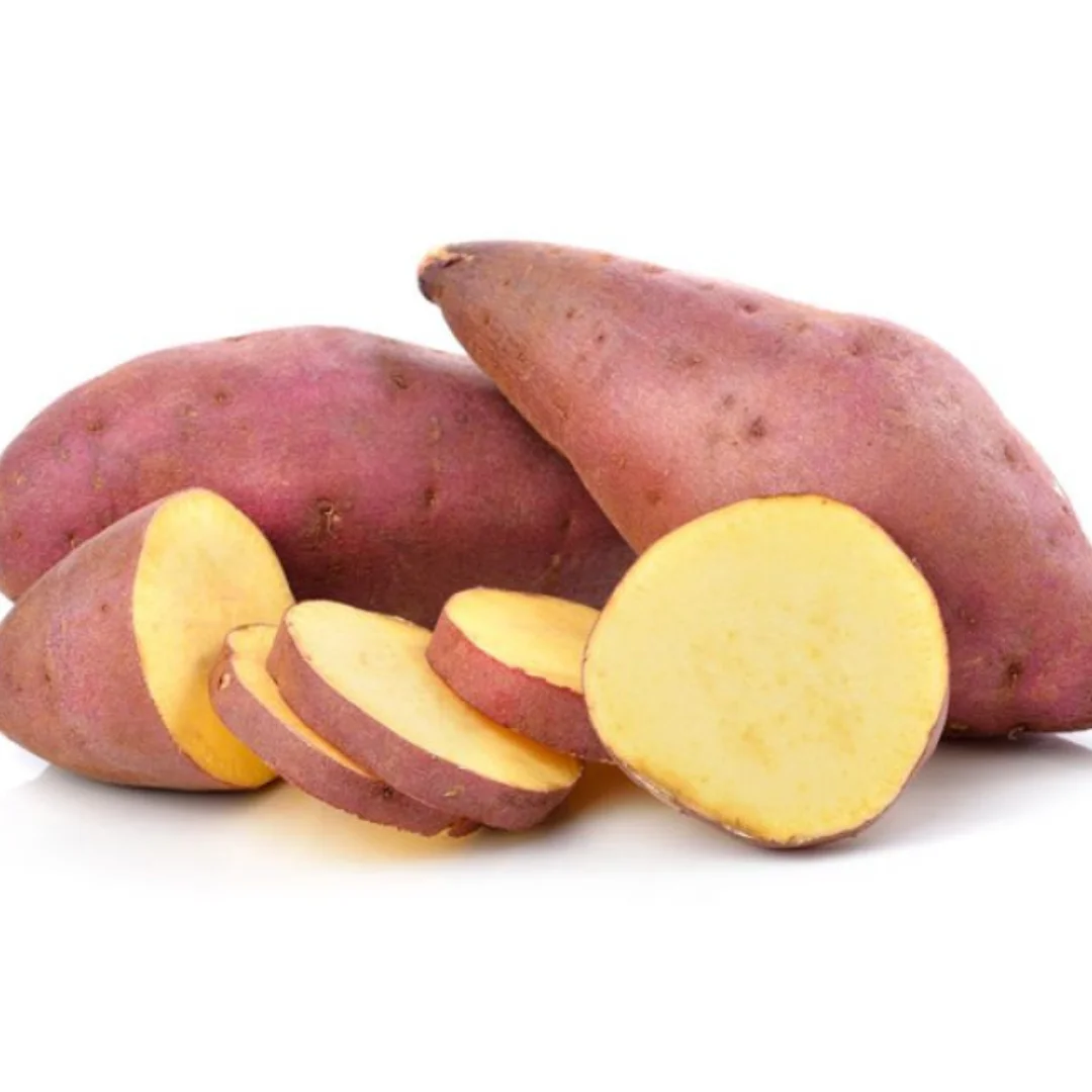 Hot Selling Sweet Potato Delicious High Quality Competitive Price for 100% Export Sweet Potato from Vietnam