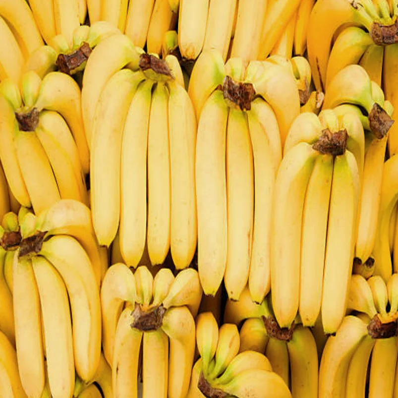 Top Quality Fresh Cavendish Bananas in Bulk - Fresh Fruits Cavendish Banana Wholesale Price Export Quality