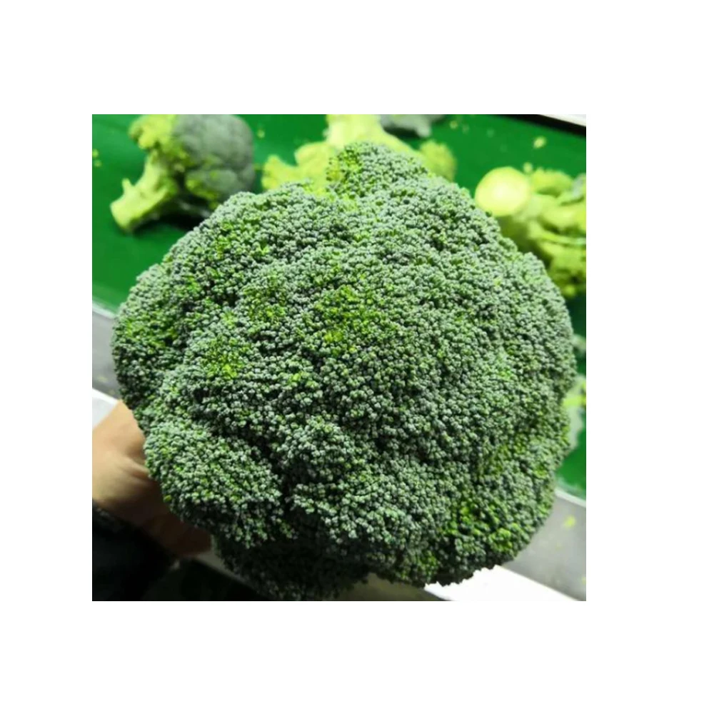Fresh Broccoli1.jpg