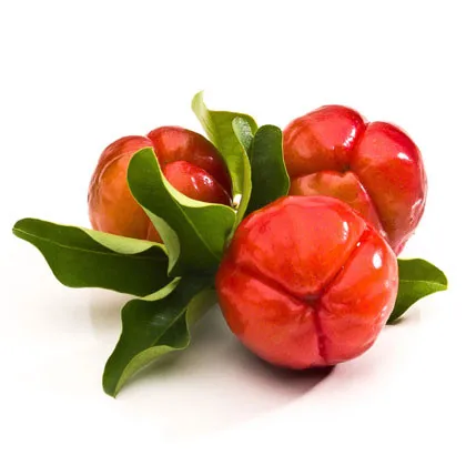 Frozen Juice Acerola Puree Cerise Fruit Juice Malpighia Glabra +84947900124