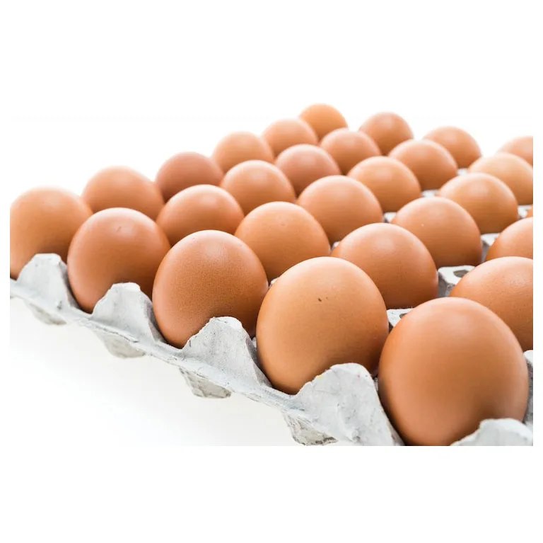 Chicken Egg Farm Fresh Chicken Table Eggs/Fresh Table Chicken Eggs supplier from Brazil