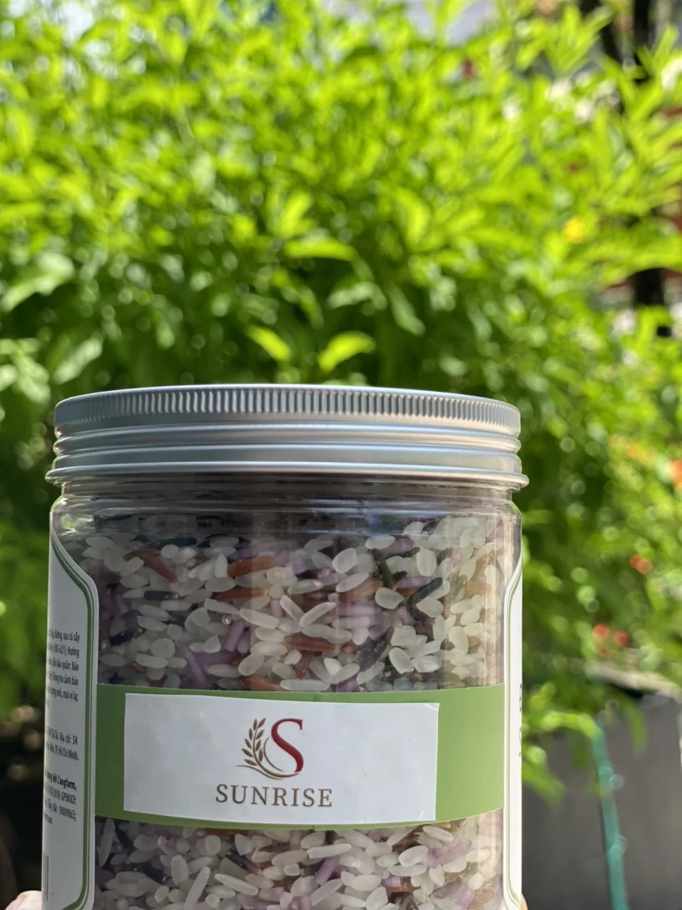 Vietnamese White Rice 5% Broken Rice OM5451/ Wholesale White Rice Long Grain /+84979031744 MS. YURI